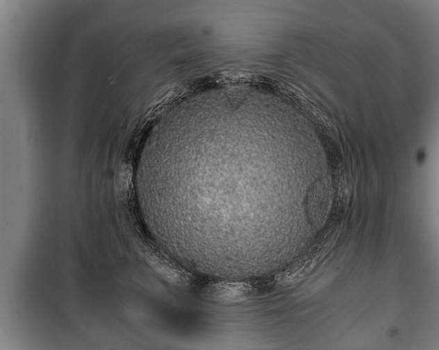 X0000100190711200806061258