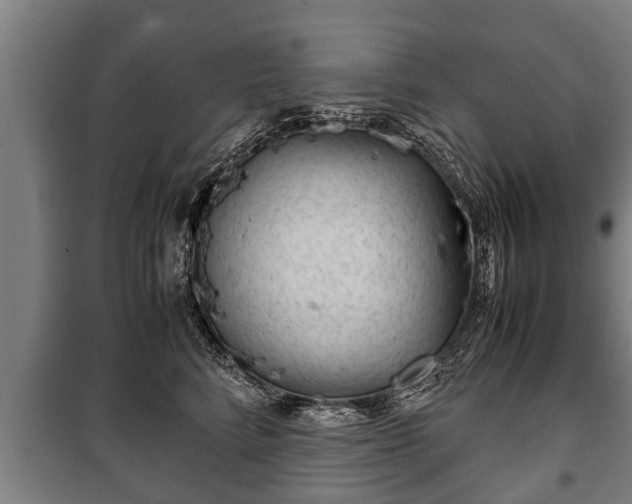 X0000100190712200806061258