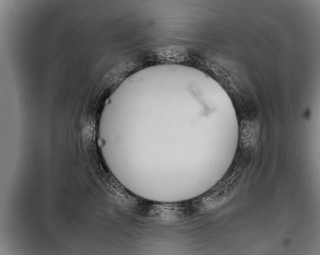 X0000100190713200806061258