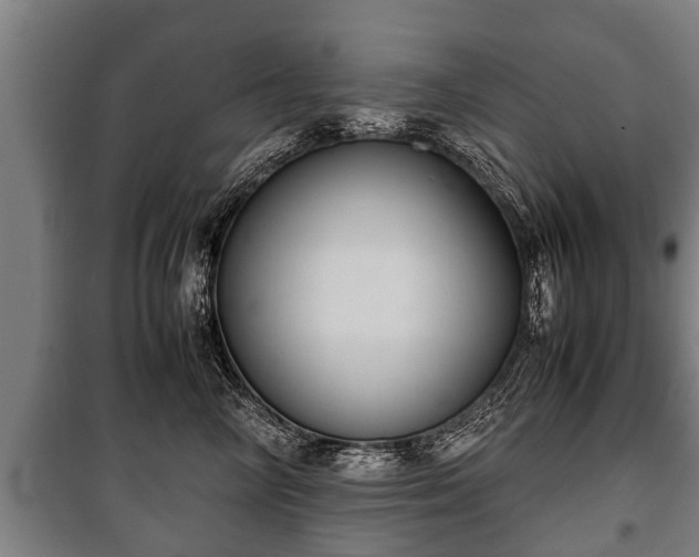 X0000100190714200806061258