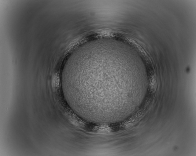 X0000100190715200806061258