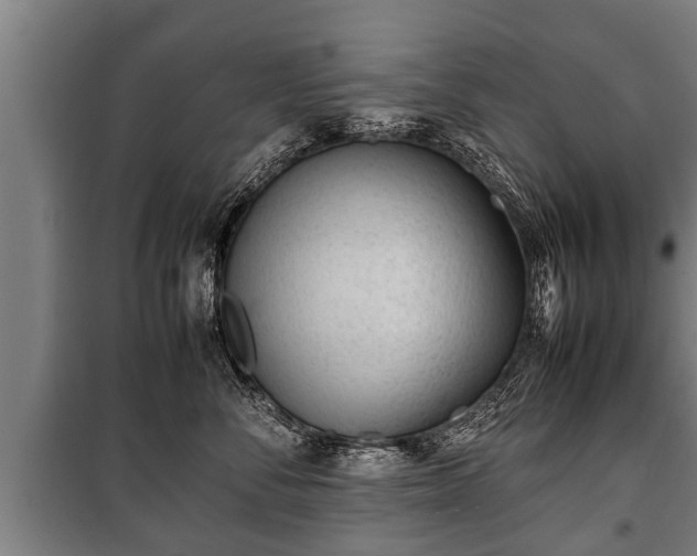 X0000100190716200806061258