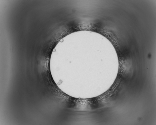 X0000100190717200806061258