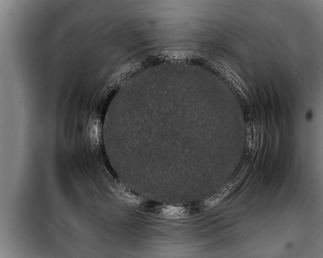 X0000100190718200806061258