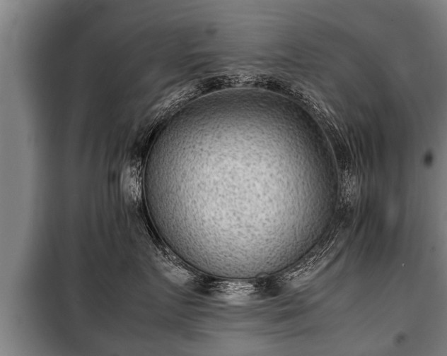 X0000100190719200806061258