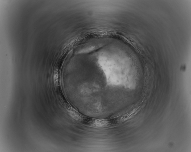 X0000100190720200806061258