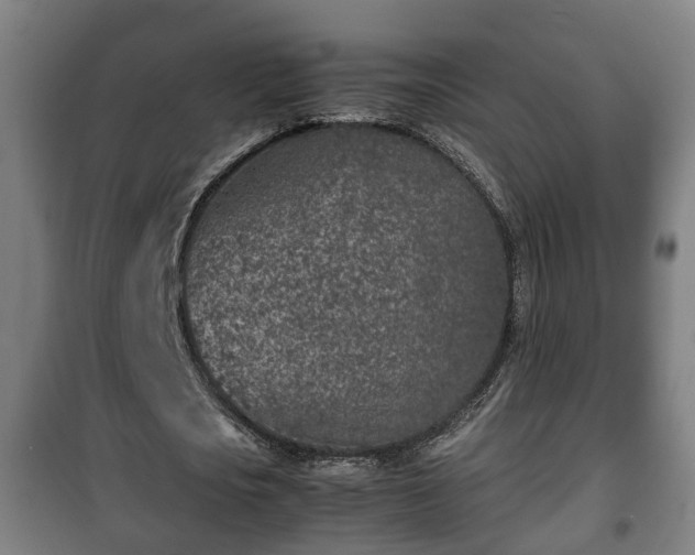 X0000100190721200806061257