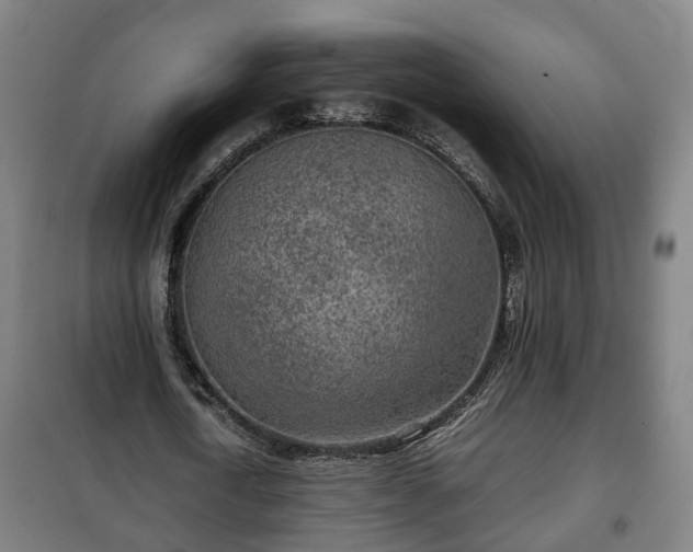 X0000100190722200806061257