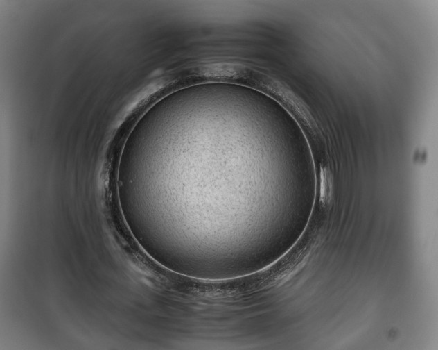 X0000100190723200806061257