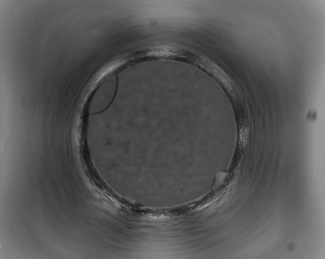 X0000100190724200806061257