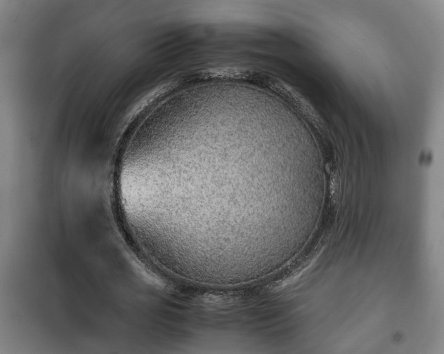 X0000100190725200806061257