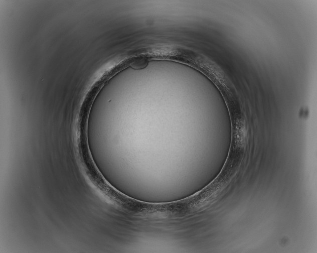 X0000100190726200806061257