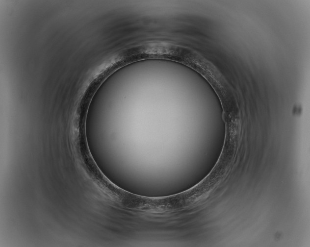 X0000100190727200806061257