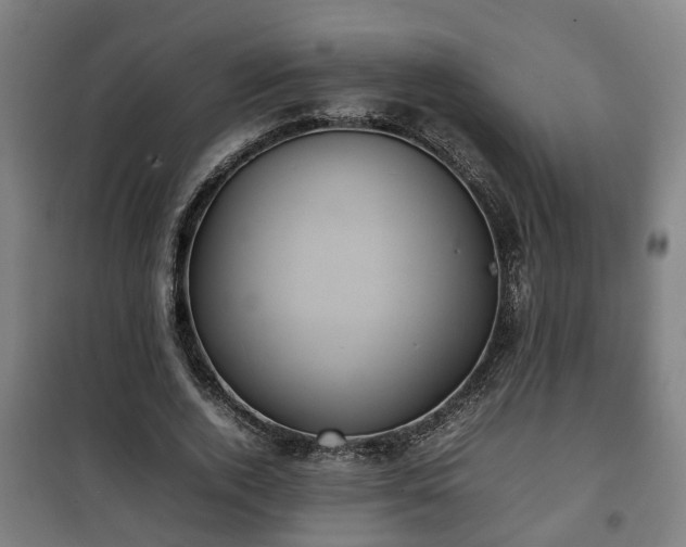 X0000100190728200806061257