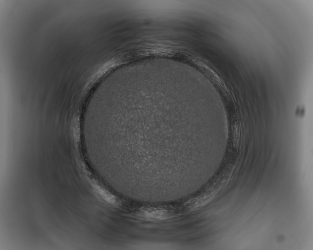 X0000100190729200806061257