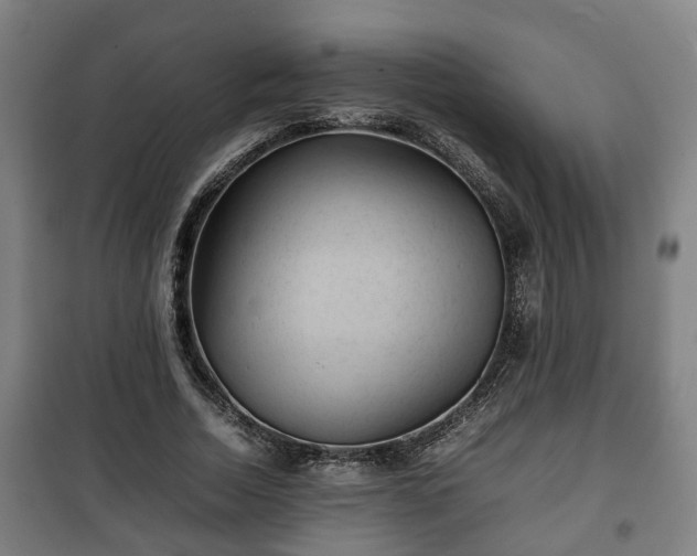 X0000100190730200806061257