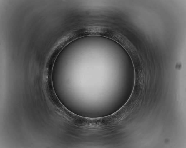 X0000100190731200806061257