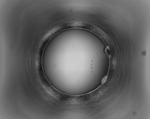 X0000100190732200806061257