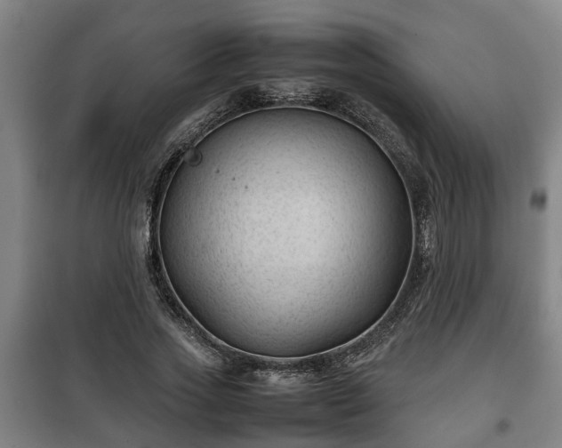 X0000100190733200806061257