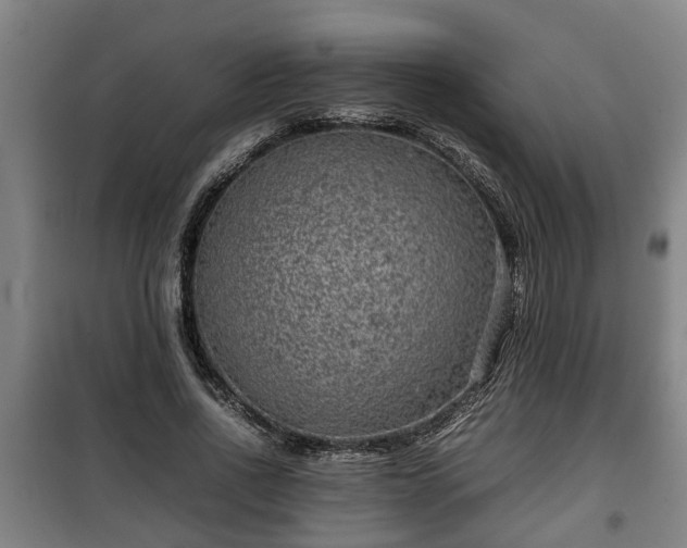 X0000100190734200806061257