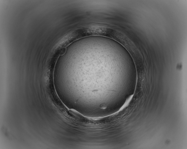 X0000100190735200806061257