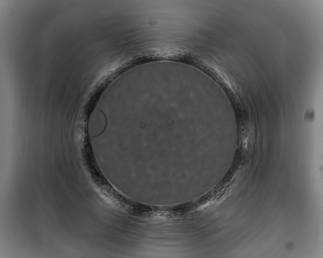 X0000100190736200806061257