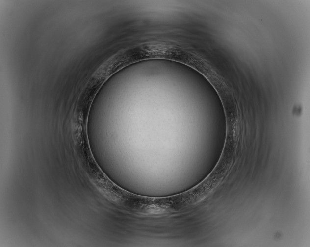 X0000100190737200806061257