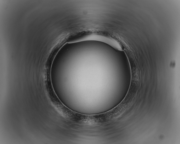 X0000100190738200806061258