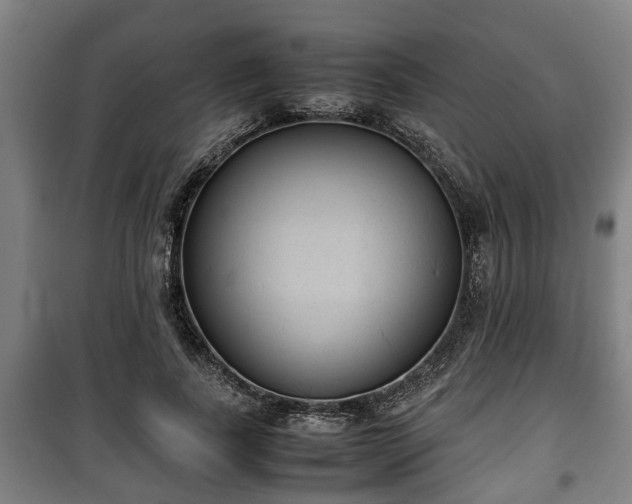 X0000100190739200806061258