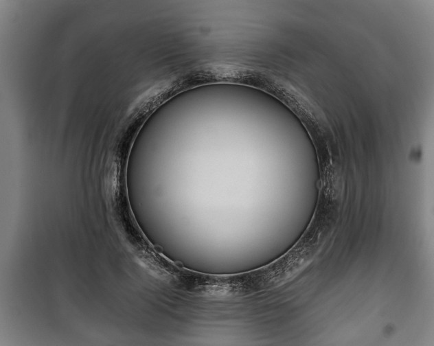 X0000100190740200806061258