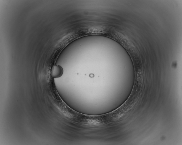 X0000100190741200806061258