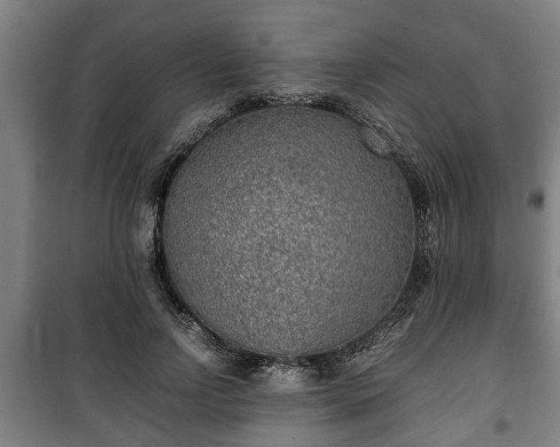 X0000100190742200806061258