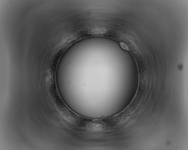 X0000100190743200806061258