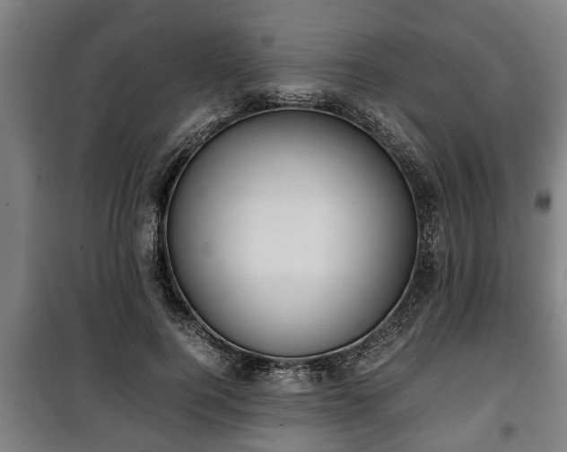 X0000100190744200806061258