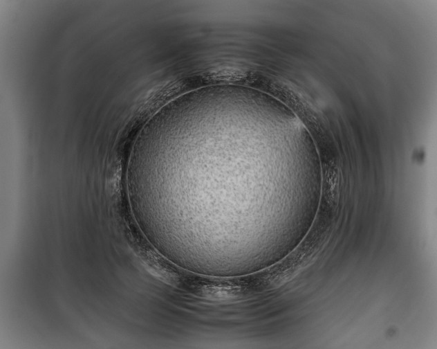 X0000100190745200806061258