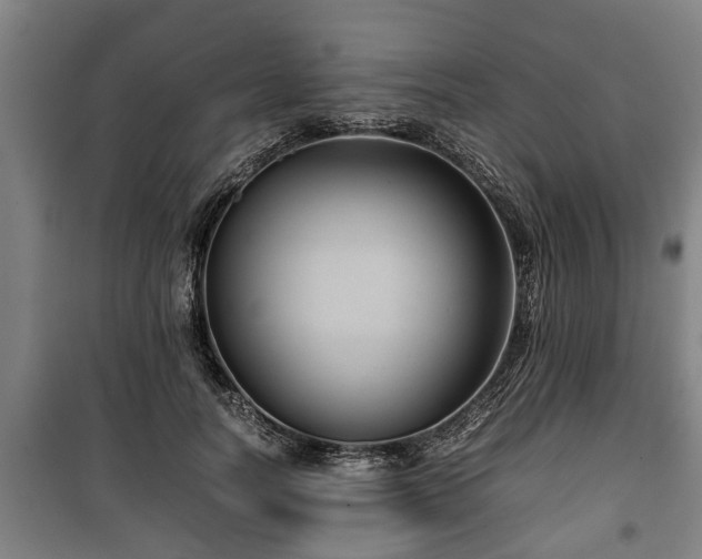 X0000100190746200806061258