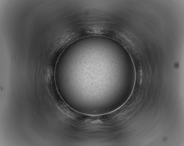 X0000100190747200806061258