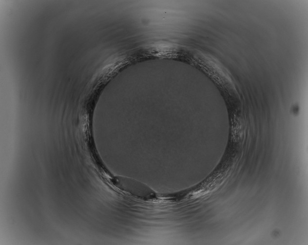 X0000100190748200806061258