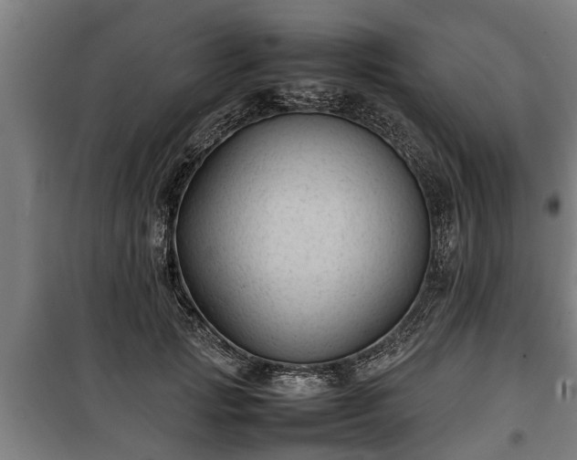 X0000100190749200806061258