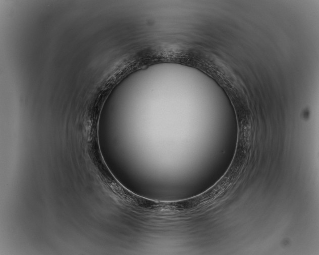 X0000100190750200806061258