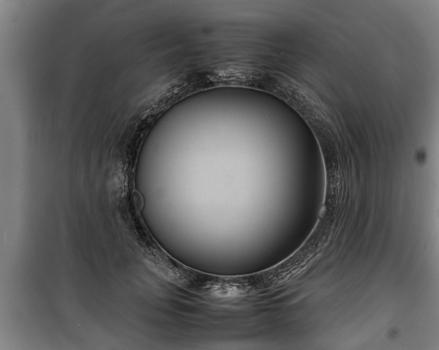 X0000100190751200806061258