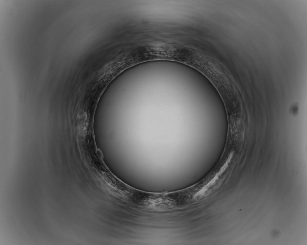 X0000100190752200806061258