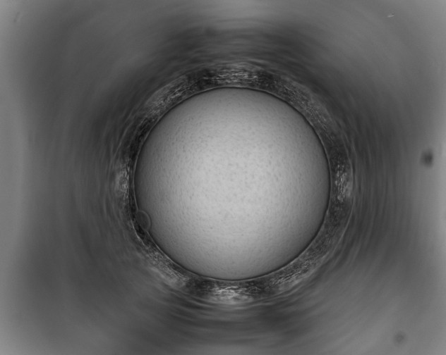 X0000100190753200806061258