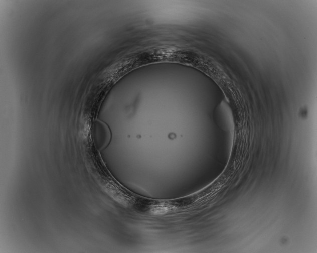 X0000100190754200806061258