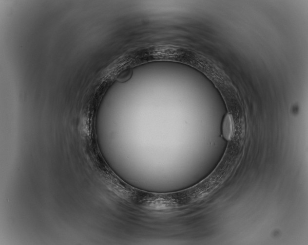 X0000100190755200806061258