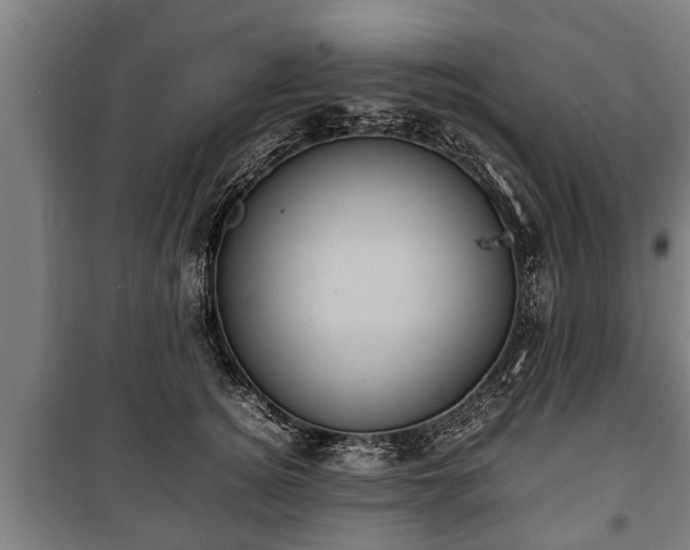 X0000100190756200806061258