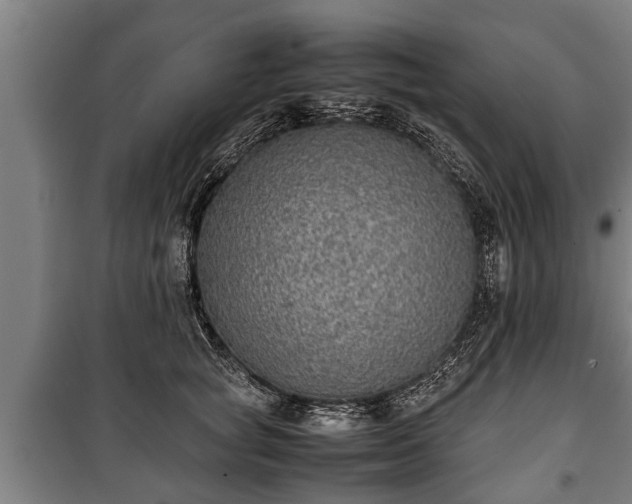 X0000100190757200806061258