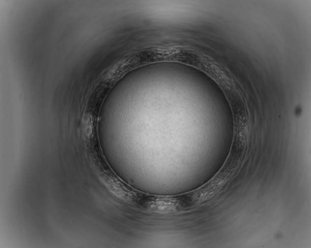 X0000100190758200806061258