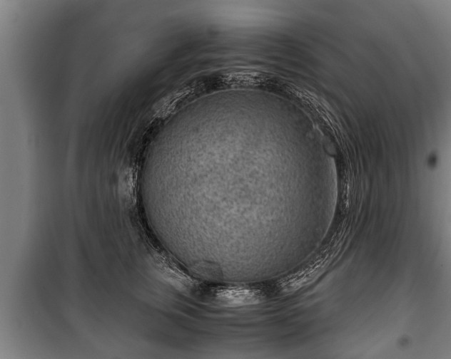 X0000100190759200806061258