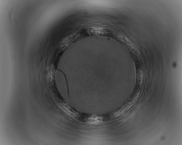 X0000100190760200806061258